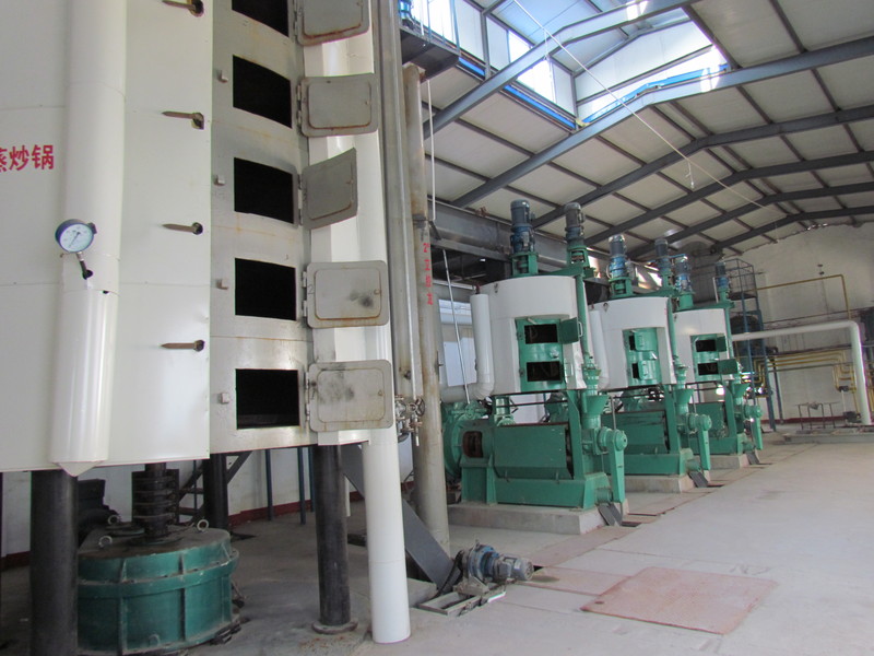 Ligne de production complète d'équipement de pressage d'huile de graines de colza et de tournesol 20T-250T/D (图5)